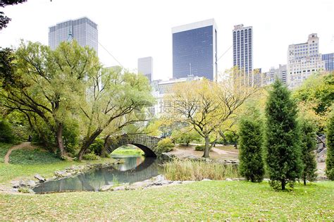 附近池塘|纽约市 10 大地标